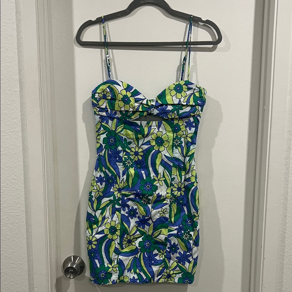 Zara Blue and Green Floral Mini Dress